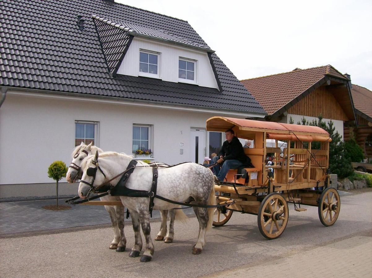 مبيت وإفطار Marmagen Gastehaus „Haus Am Hahnenberg“ المظهر الخارجي الصورة